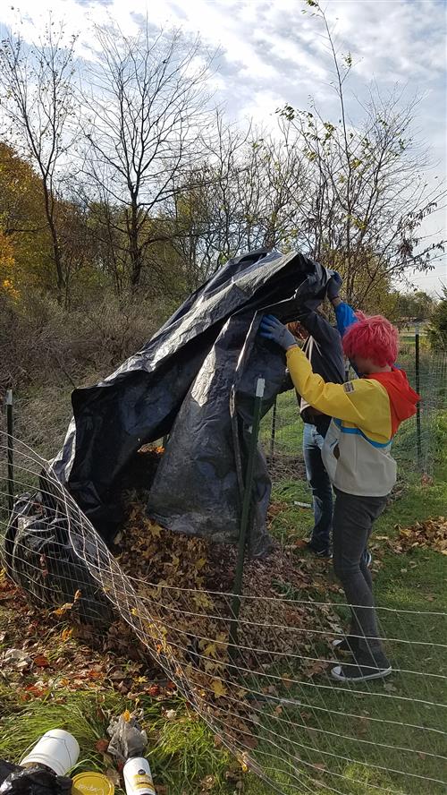 science compost  
