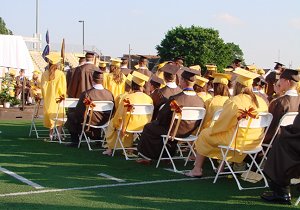 A sea of brown and gold